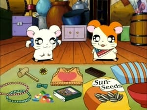 Hamtaro Odcinek 77