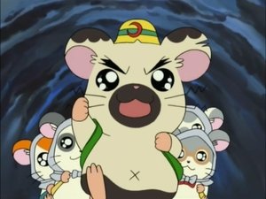 Hamtaro Odcinek 103