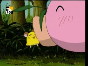 Hamtaro Odcinek 74
