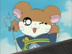 Hamtaro Odcinek 104