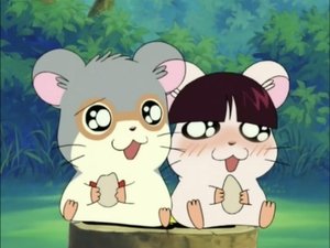Hamtaro Odcinek 93