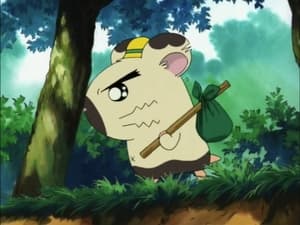 Hamtaro Odcinek 91