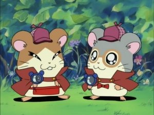 Hamtaro Odcinek 98