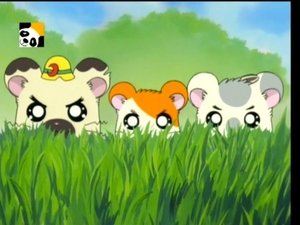 Hamtaro Odcinek 59