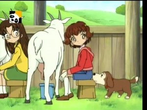 Hamtaro Odcinek 70