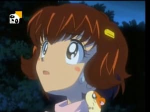 Hamtaro Odcinek 57