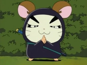 Hamtaro Odcinek 88