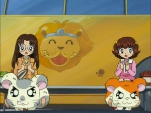 Hamtaro Odcinek 99