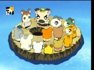 Hamtaro Odcinek 61