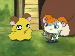 Hamtaro Odcinek 86