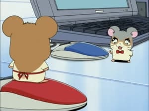 Hamtaro Odcinek 102