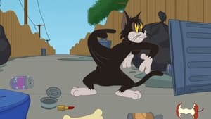 Tom i Jerry Show Odcinek 72