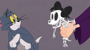 Tom i Jerry Show Odcinek 41