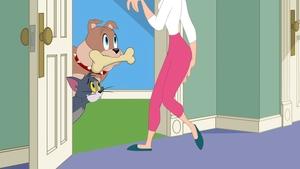 Tom i Jerry Show Odcinek 8
