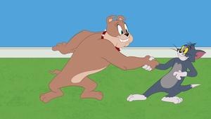 Tom i Jerry Show Odcinek 51