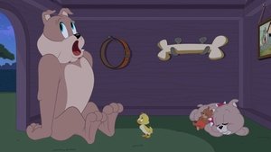 Tom i Jerry Show Odcinek 24