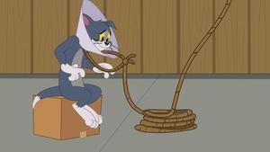 Tom i Jerry Show Odcinek 63