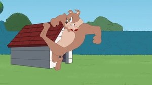 Tom i Jerry Show Odcinek 42