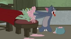Tom i Jerry Show Odcinek 47