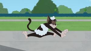 Tom i Jerry Show Odcinek 30