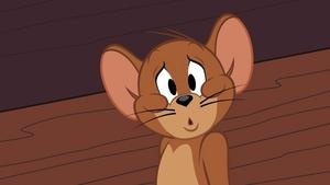 Tom i Jerry Show Odcinek 11