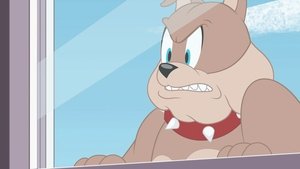 Tom i Jerry Show Odcinek 36