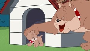 Tom i Jerry Show Odcinek 4
