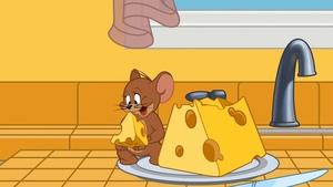 Tom i Jerry Show Odcinek 21