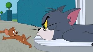 Tom i Jerry Show Odcinek 17