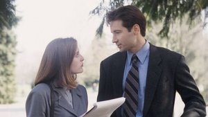 Z Archiwum X Mulder i Scully