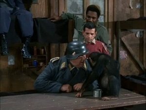 Hogan's Heroes Odcinek 29