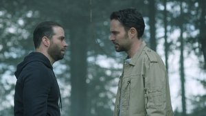 Kto zabił Sarę? Patrzeć, jak świat płonie