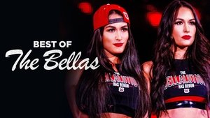 The Best of WWE Odcinek 10