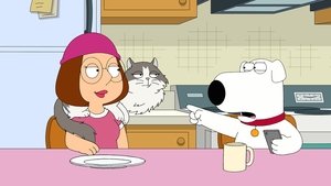 Family Guy: Głowa rodziny Rodziny kot