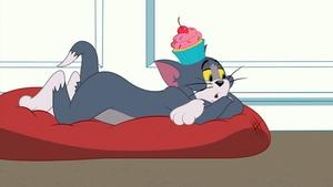 Tom i Jerry Show Odcinek 14