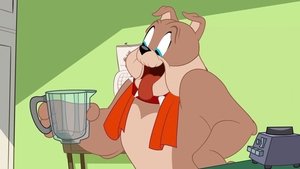 Tom i Jerry Show Odcinek 8