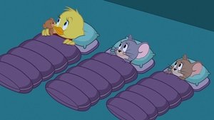 Tom i Jerry Show Odcinek 13