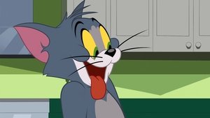 Tom i Jerry Show Odcinek 21
