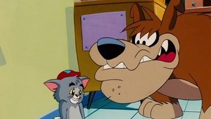 Szczenięce lata Toma i Jerry’ego Fido aportuje / Dakota Droopy i Zaginiona Kopalnia / Pieskie popołudnie