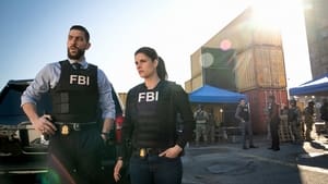 FBI Odcinek 12