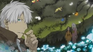 Mushishi Cień, który pożera słońce