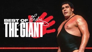 The Best of WWE Odcinek 22