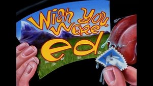 Ed, Edd i Eddy Spełnione życzenie