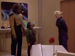 Star Trek: Następne pokolenie Nowy teren