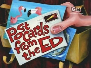 Ed, Edd i Eddy Ed przewodnik
