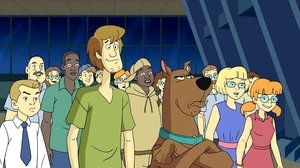 Co nowego u Scooby'ego? Wielkie żarcie w małym Tokio