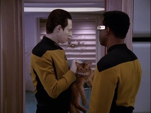 Star Trek: Następne pokolenie W teorii