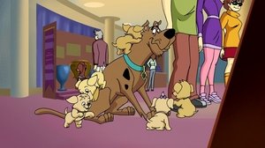 Co nowego u Scooby'ego? Niesforna sfora