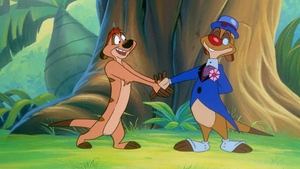 Timon i Pumba O żartomanii w Tanzanii