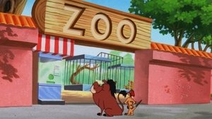 Timon i Pumba Do zoo by się szło